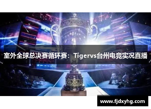 室外全球总决赛循环赛：Tigervs台州电竞实况直播